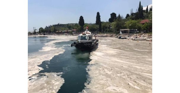 Eskihisar Denizinden Canlı Yayın