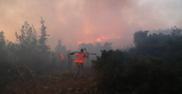 İçişleri Bakanlığından valiliklere orman yangınları için önlem genelgesi: