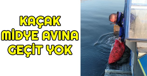 Kaçak Midye avına...