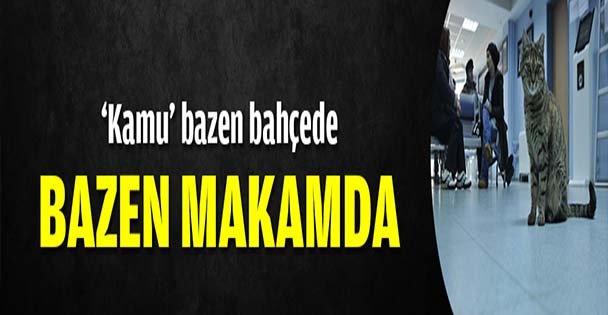 'Kamu' bazen bahçede bazen makamda