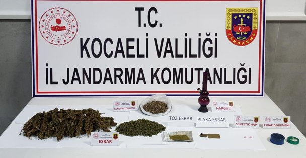 Kenevir hasadı yaparken yakalandı