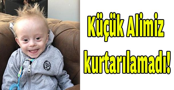 Küçük Alimiz kurtarılamadı!