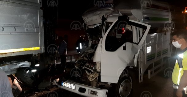 Kurbanlık hayvan taşıyan araçlar çarpıştı