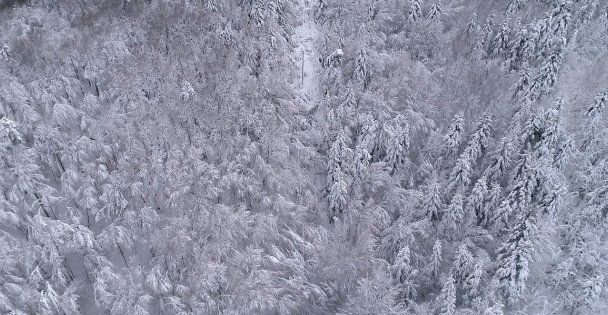 SEDAŞ'tan dronelu arıza tespiti