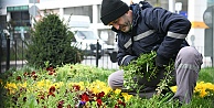Çayırovada Bahar Hazırlığı