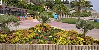 Darıcada Park Ve Bahçeler Yenileniyor