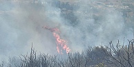 Gebze Gazetesinden Orman Yangını ile İlgili Canlı Yayın (Video Haber 2)