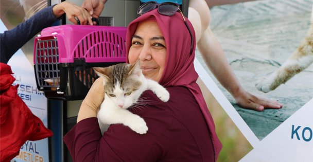 11 bin 150 minik dost sağlığına kavuştu