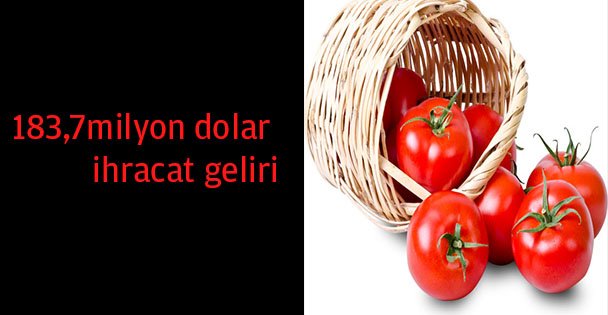 İhracat geliri 183,7 milyon dolar