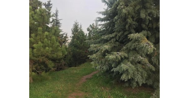 2022 Yılı Kuraklıkla Mücadele Yılı Olsun