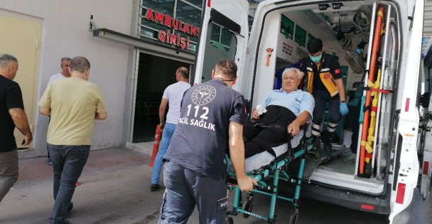 271 Kişi Kurbanlık Keserken Yaralandı