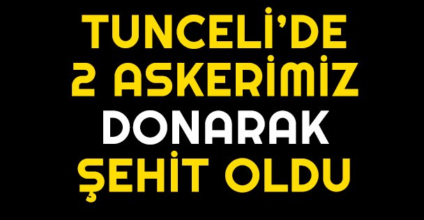 2 Asker donarak şehit oldu