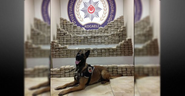 400 kilo esrar ele geçirildi