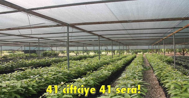 41 çiftçiye 41 sera!