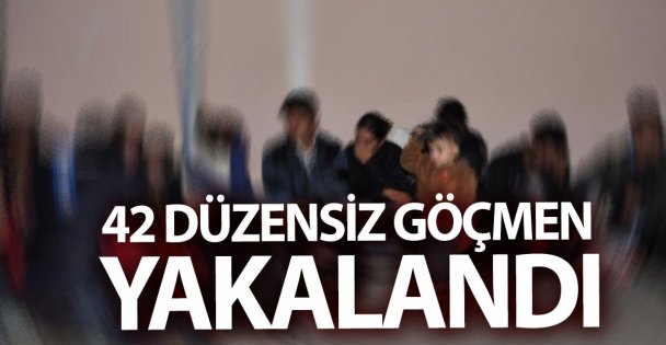 42 Düzensiz Göçmen Yakalandı