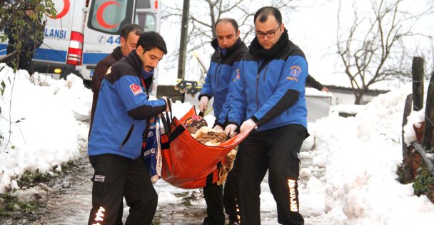 53 bin 620 hastaya ambulans hizmeti