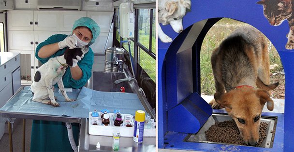 5 bin 500 hayvana Şefkat eli uzandı