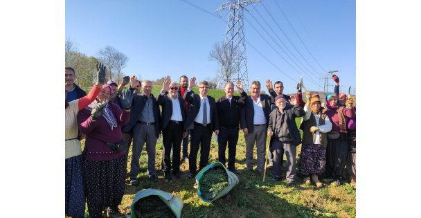 700 Dekardan 150 Ton Biberiye Toplandı