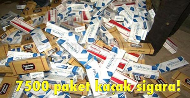 7500 paket kaçak sigara!