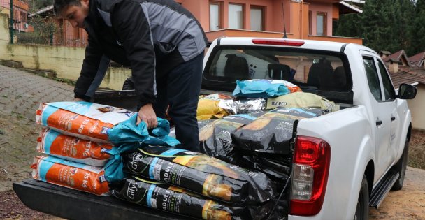 '81 ton mamayı şehrin belli noktalarına dağıttık”