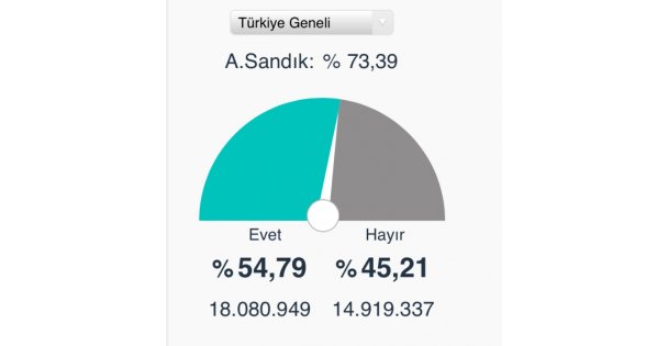 Açılan Sandık Oranı %73,39