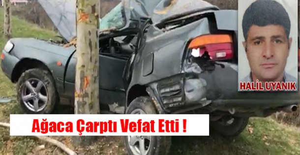 Agaca Çarptı !