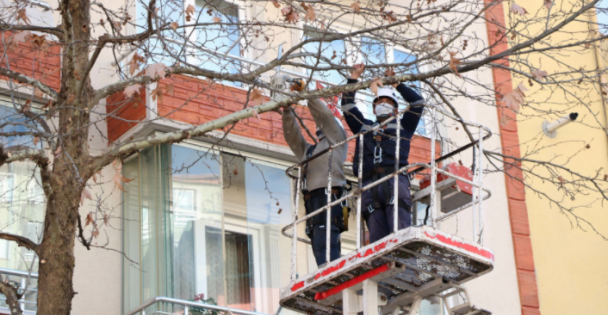 Ağaçlara Budama Ve Bakım Yapıldı