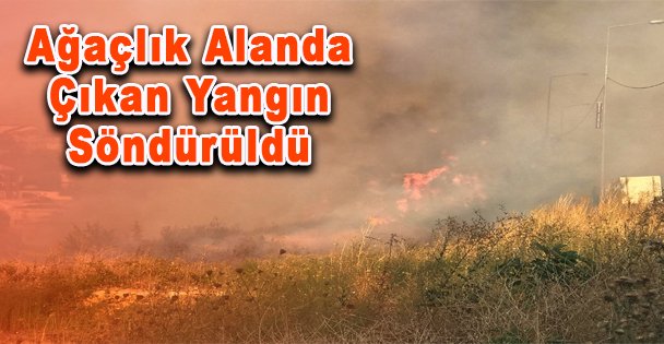 Ağaçlık Alanda Çıkan Yangın Söndürüldü