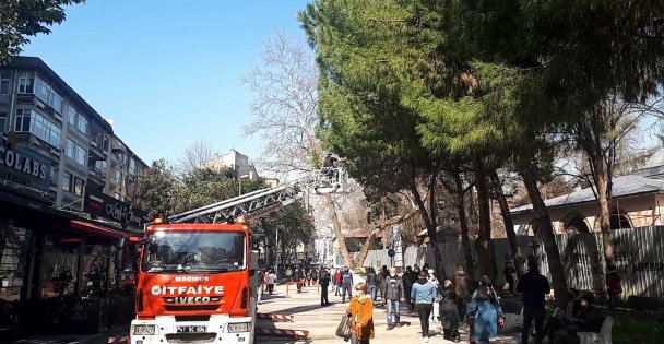 Ağaçta Mahsur Kalan Kediyi İtfaiye Kurtardı