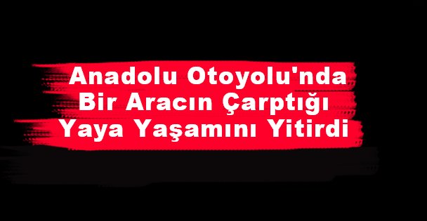 Anadolu Otoyolu'nda Bir Aracın Çarptığı Yaya Yaşamını Yitirdi
