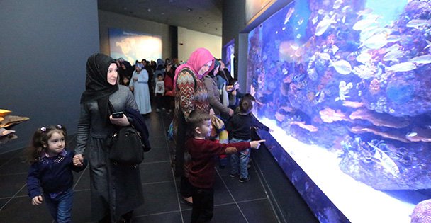 Anne-Çocuk Klübü Akvaryum'da
