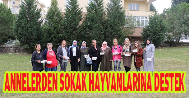 Annelerden sokak hayvanlarına anlamlı destek