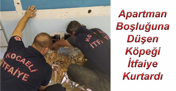 Apartman Boşluğuna Düşen Köpeği  İtfaiye Kurtardı