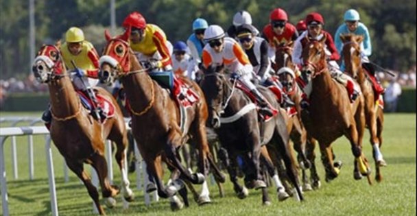 At yarışları yapılacak