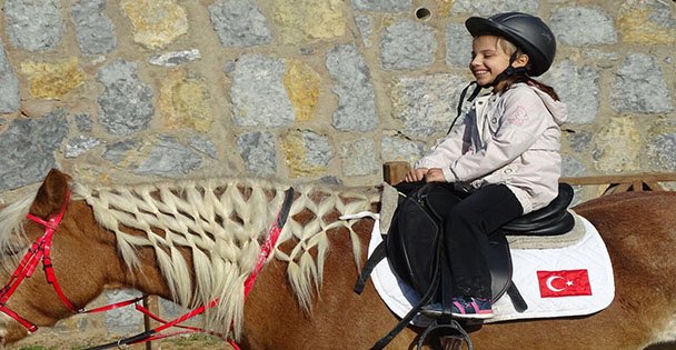 Atlı Terapi Eğitimleri