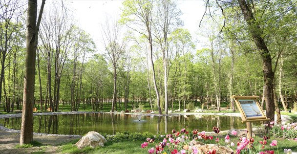 Avrupa'nın en büyük yaşam parkı Ormanya