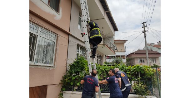Ayağı çatıya sıkışan martıyı itfaiye ekipleri kurtardı
