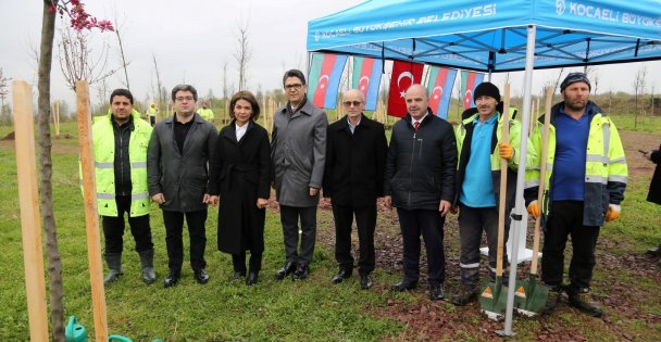 Azerbaycan ve Türkiye Kardeşliği Ormanına Haydar Aliyev'in Anısına 100 Fidan