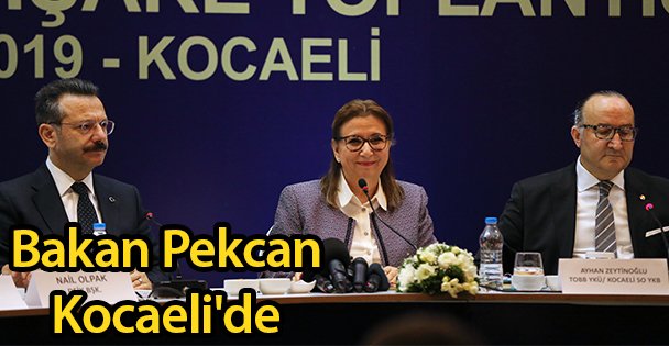 Bakan Pekcan Kocaeli'de