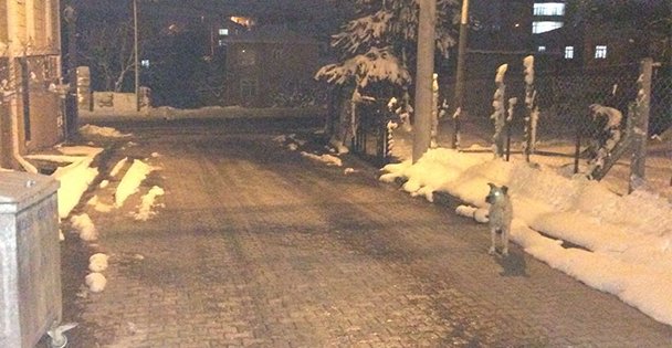 Balçık doğalgaz bekliyor!