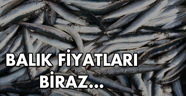 Balık fiyatları biraz düştü!