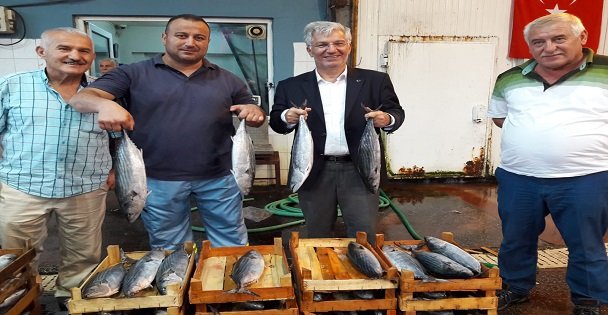 Balıkçılar palamut ve istavritle döndü