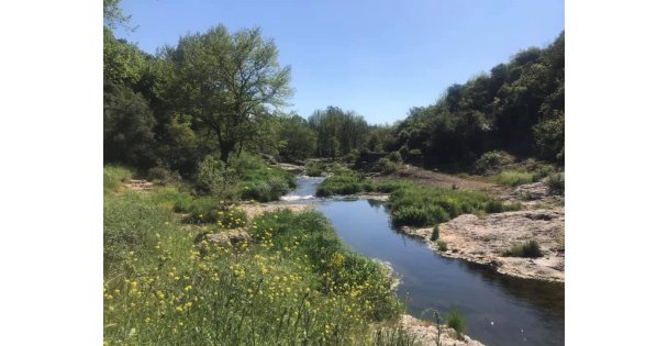 Ballıkayalar Tabiat Parkı Yok Oluyor