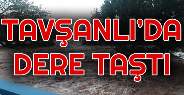 Ballıkayalar'da Dere Taştı Piknikçiler Mahsur Kaldı