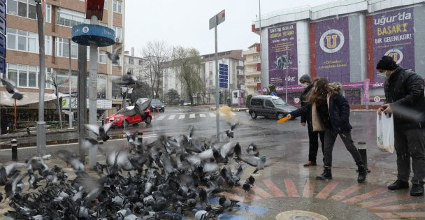 Başkan Bıyık, Karda Sokak Hayvanlarını Besledi