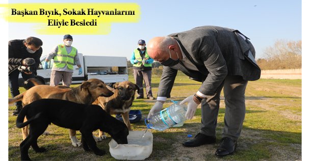 Başkan Bıyık, Sokak Hayvanlarını Eliyle Besledi