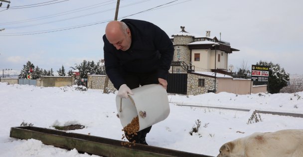 Başkan Bıyık Sokak Hayvanlarını Unutmadı