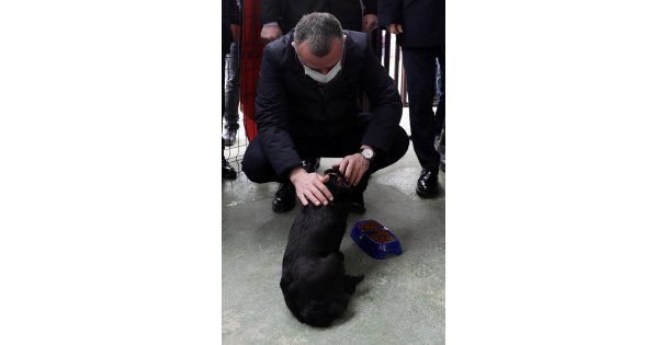 Başkan Büyükakın, ‘'2021 yılı için 120 ton mamamız hazır''