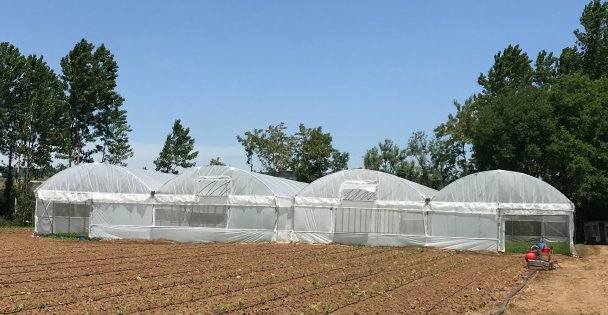 Başkan Büyükakın'dan Çiftçilere Yüzde 70 Hibeli Sera Naylonu Desteği