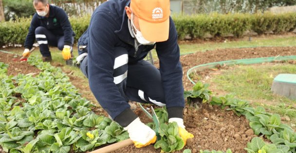 Başkan Büyükgöz Talimat Verdi